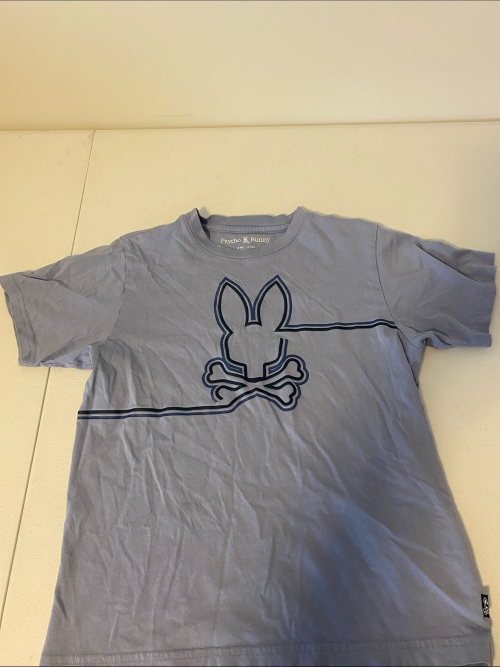 Psycho Bunny Kids Short Sleeve Tee - Light Blue with Navy Logo